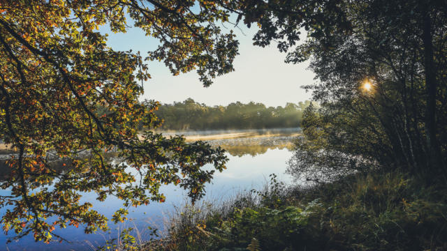 Etang de Gros - Montaignac