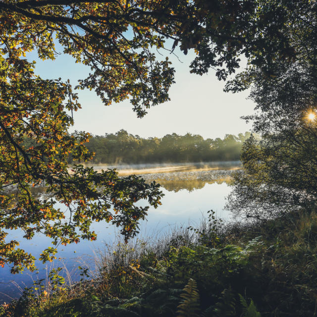 Etang de Gros - Montaignac