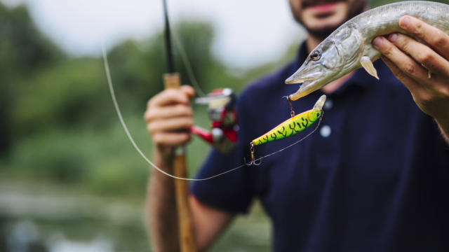 Homme Peche Poisson