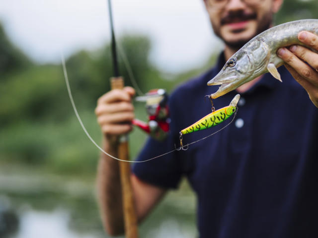 Homme pêche poisson