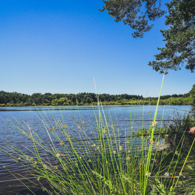 Pêche Étang de Gros - Montaignac