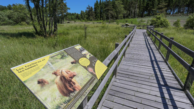 Sentier de la tourbière - Peret Bel Air