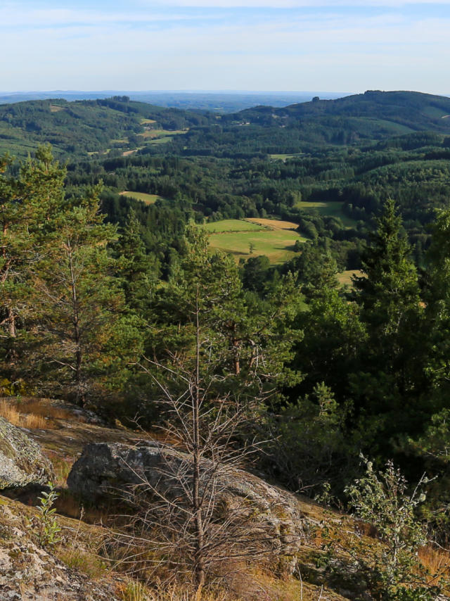 Peret Bel Air Sentier De La Tourbière 2016