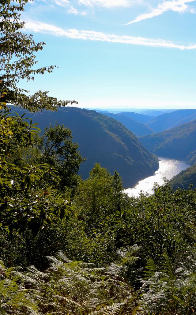 Point de vue de la Chapeloune - Saint-Merd-de-Lapleau