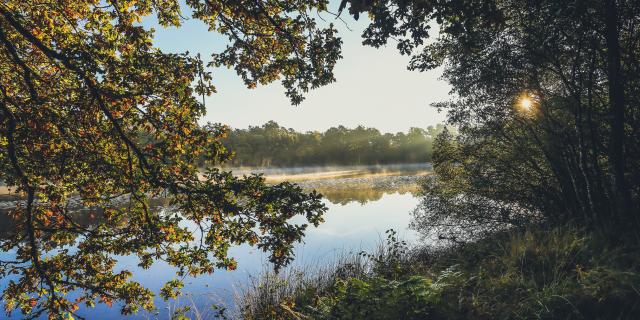 Etang de Gros - Montaignac