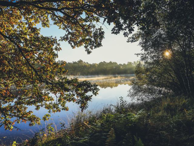 Etang de Gros - Montaignac