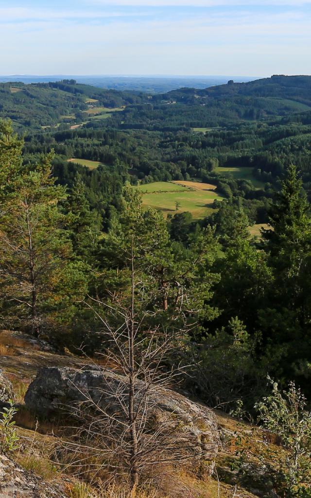 Nature à Peret Bel Air - sentier de la Tourbière - Peret Bel Air