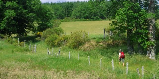 Randonneur au Plateau Millevaches