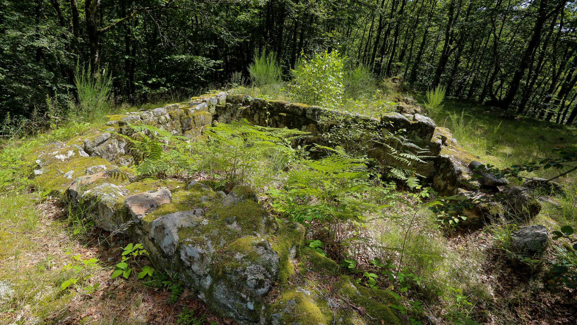 Saint-Yrieix-le-Déjalat | Ventadour-Egletons-Monédières In Corrèze