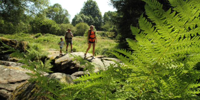 Randonnée au plateau de Millevaches en famille