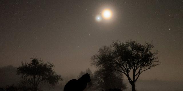 Nuit étoilée à Faugeras, lieu dit de Lapleau