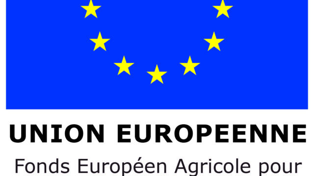 Logo Union Européenne