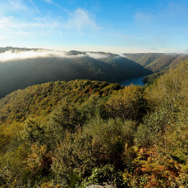 Marcillac Nature 2016 (8)