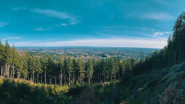 Puy De La Tourte