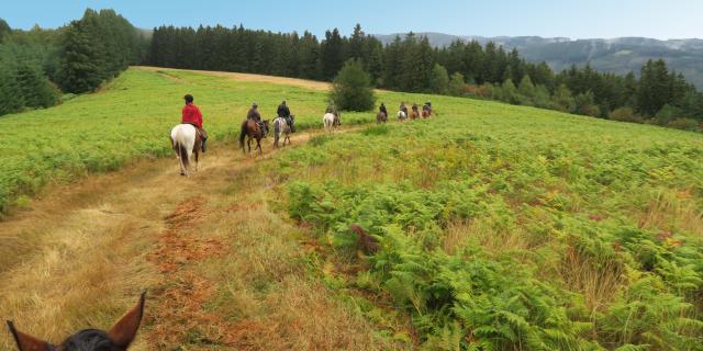 Ferme Equestre Trephy Chaumeil (12)