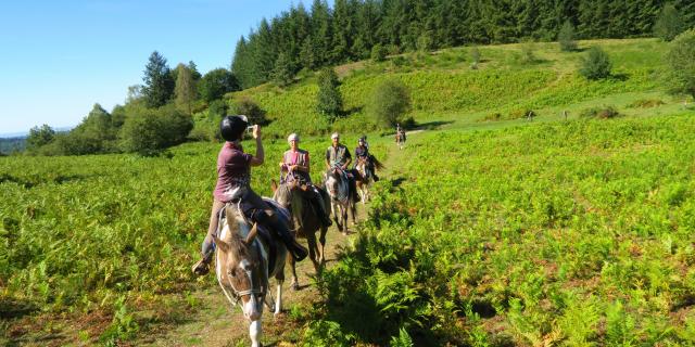 Ferme Equestre Trephy Chaumeil (8)