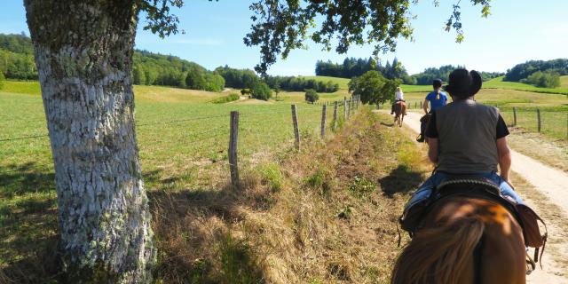 Ferme Equestre Trephy Chaumeil (9)