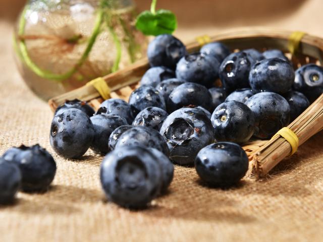 Food composition with blueberries