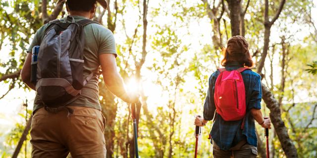 Couple randonnant dans les bois